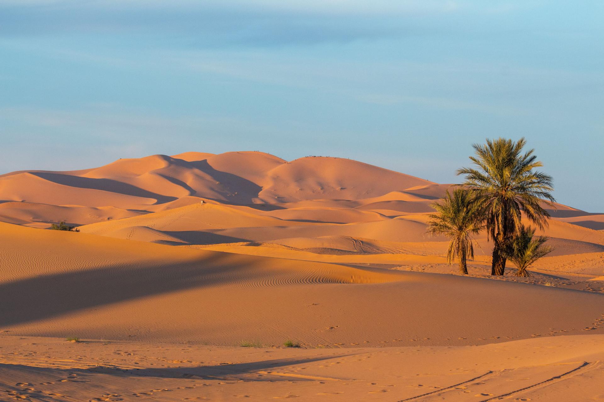 Porte du desert maroc